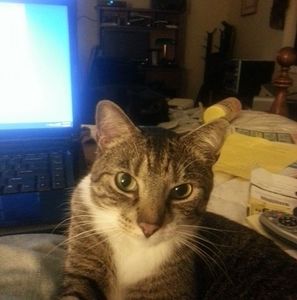 Meet your Posher, Ted